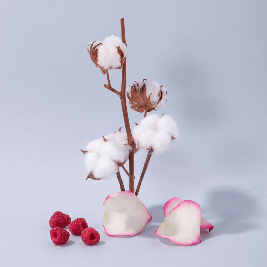 COMPAGNIE DE PROVENCE - Cotton Flower, Extra Pur Υγρό σαπούνι Μασσαλίας (495ml)